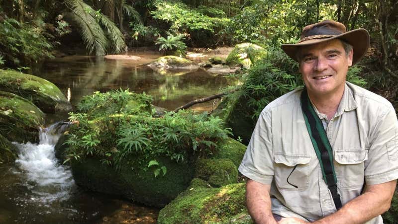Dr Martin Cohen in Australian rainforest
