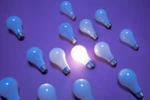 One of 14 incandescent lightbulbs lit on purple surface