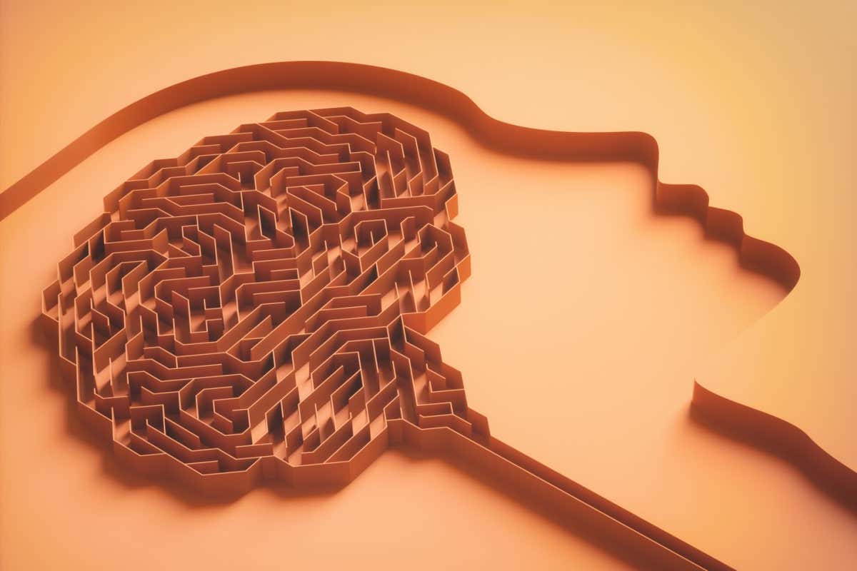 3D illustration, brain shaped maze. Concept image of study and brain behavior.; Shutterstock ID 2177110871; purchase_order: -; job: -; client: -; other: -