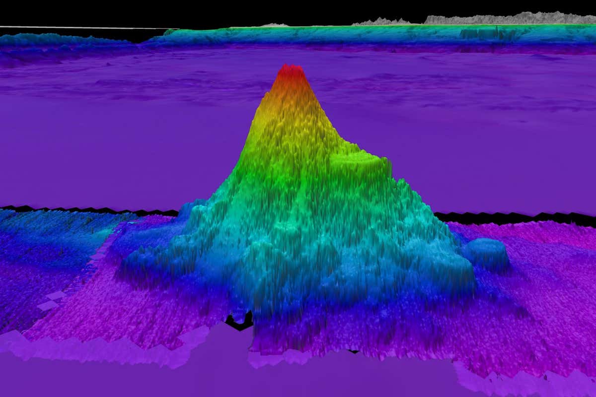 The second of four seamounts recently discovered by the team on Schmidt Ocean Institute